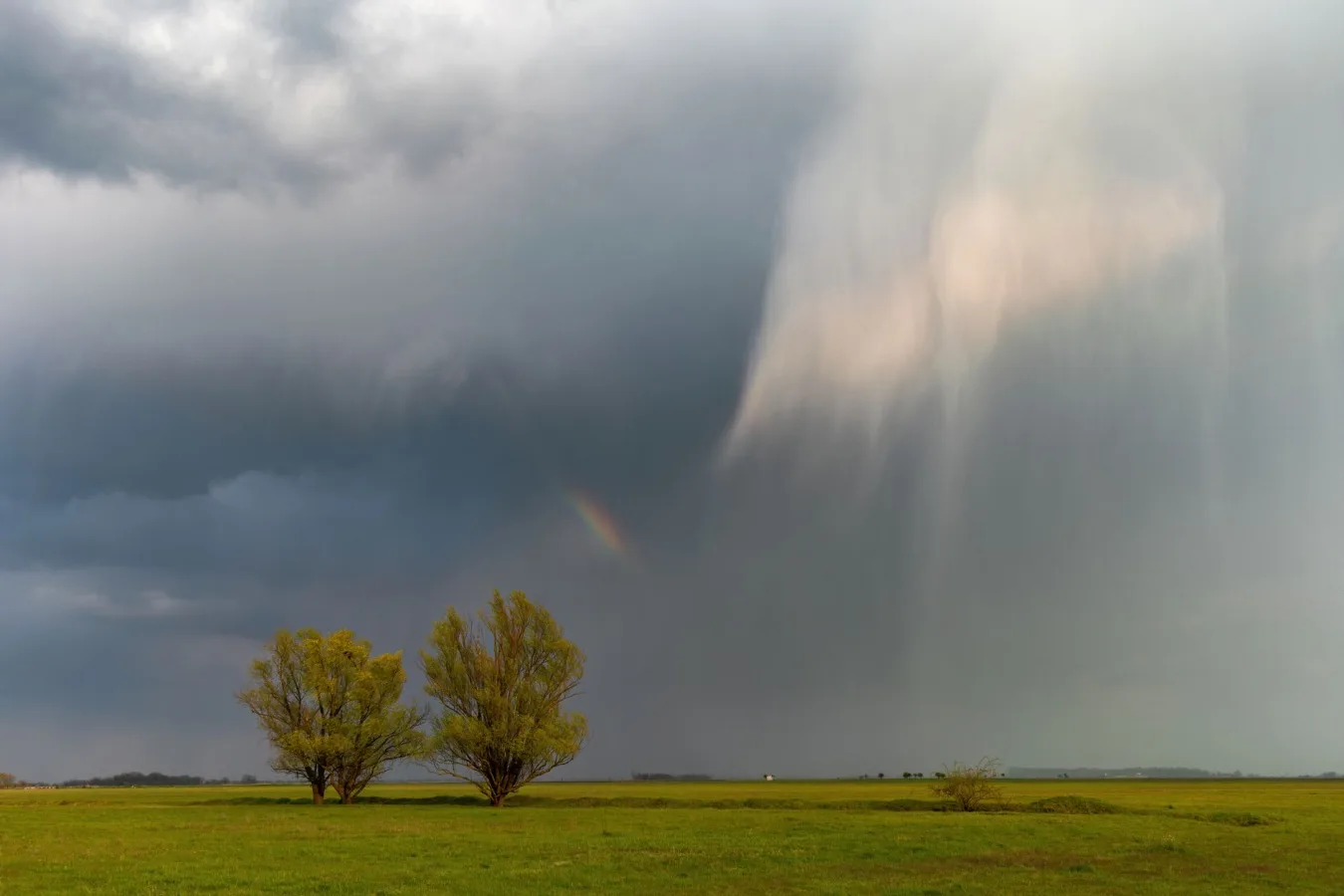 A vast grassland with two trees under a dramatic sky and a rainbow.