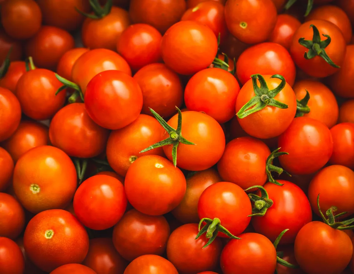 Close-up of fresh red cherry tomatoes with green stems, showcasing vibrant color and textu