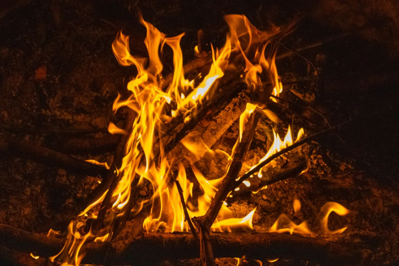 Close-up of campfire flames illuminating wood sticks in Gatesville, NC forest at night.
